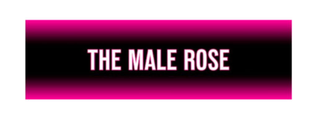 The Male Rose